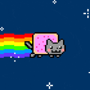 Viral video: Nyan Cat Indian Indian Version.