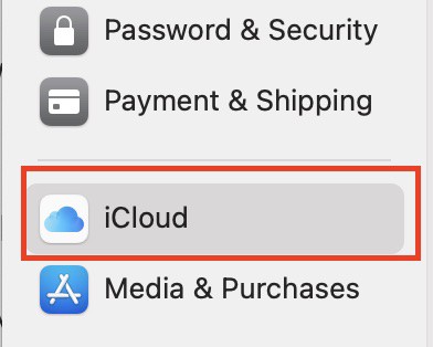 The easy way to turn off the password keychain on the Mac