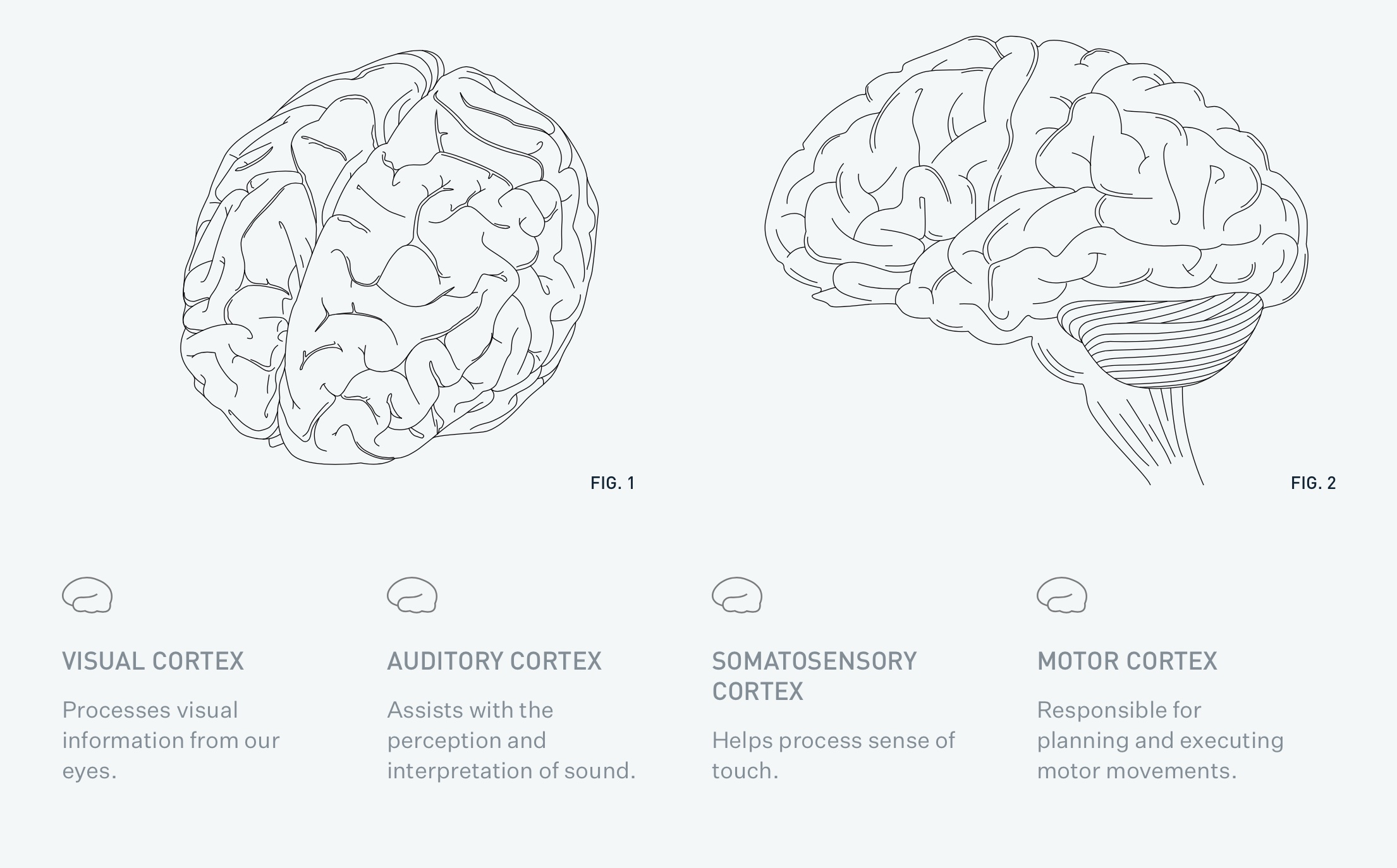 Everything you need to know about Neuralink