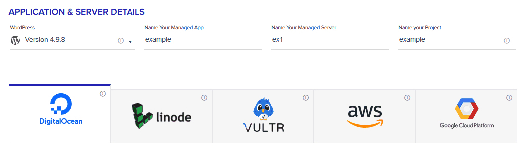 Cloudways Hosting Review