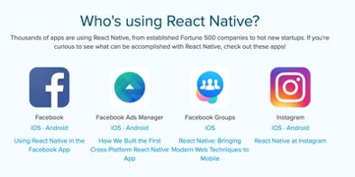 The money issue and other facts about React Native developer