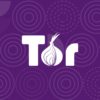 Revolutionary New Browser Takes Tor Network to the Next Level