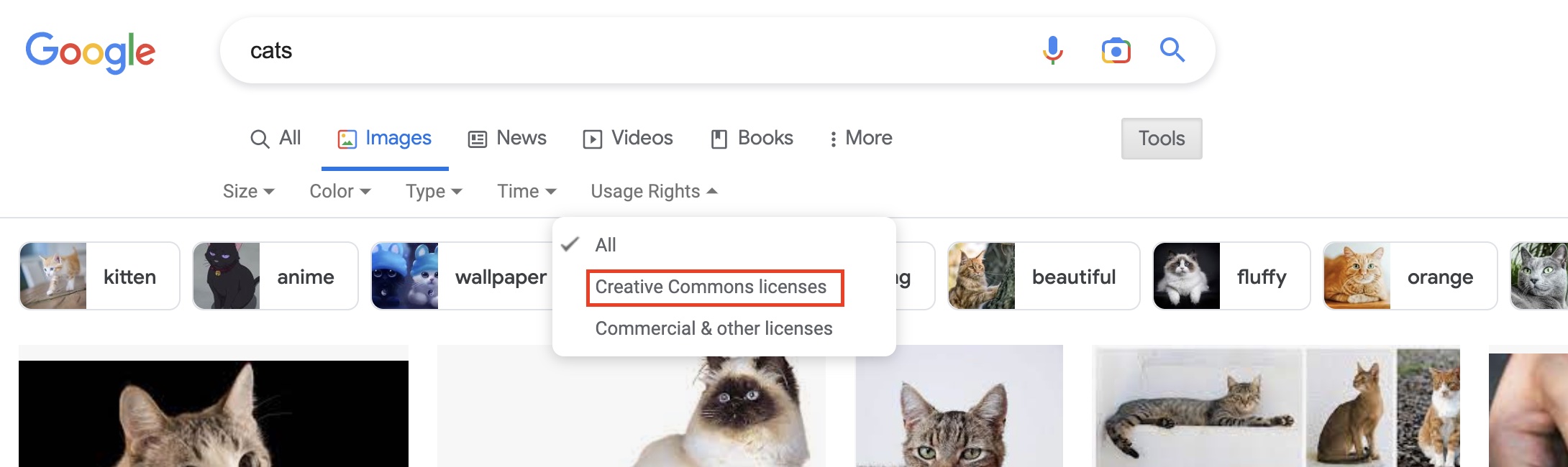 This is how you can search for images that you can use for free. LEGALLY