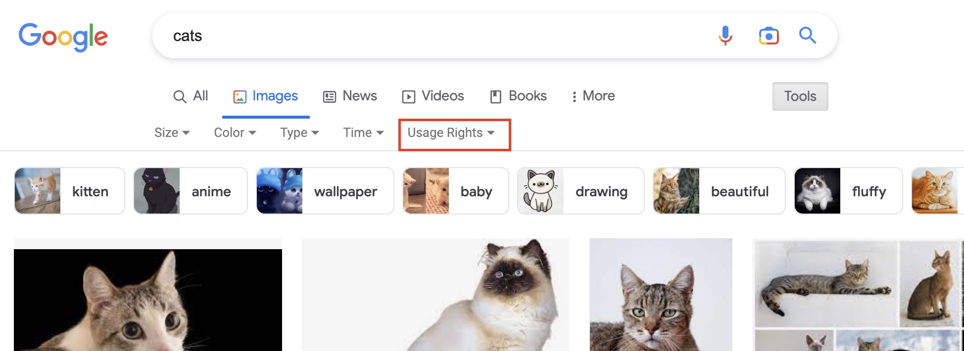 This is how you can search for images that you can use for free. LEGALLY