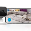 For the price of one Blink Mini camera, Amazon is selling two