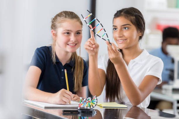 Lack of inclusion in STEM must be addressed at source, says 3M