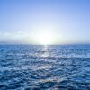 Researchers can now extract hydrogen straight from saltwater without the need for filtration