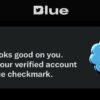 Twitter Blue premium subscriptions now accessible globally