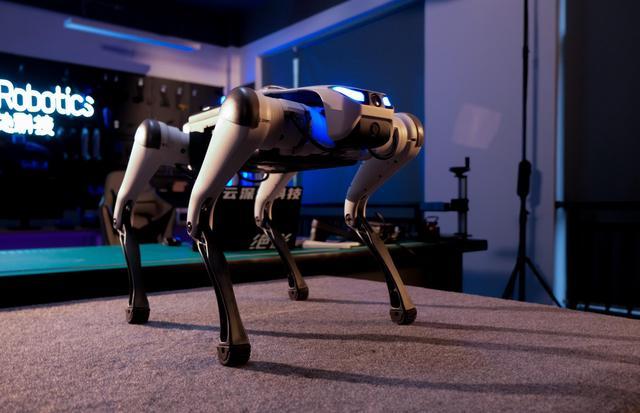 DEEP Robotics Steps into Your Home: Meet X30, Your New Household Companion!