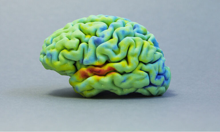 3D Printed Brain Tissue Shows Promise for Understanding Brain Function