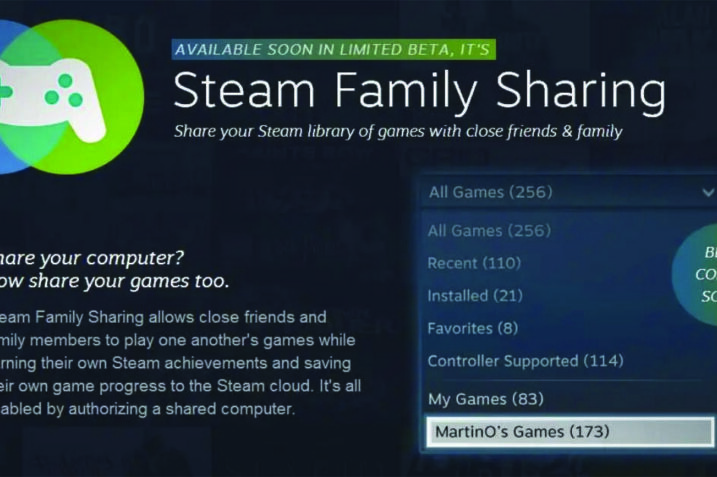 Steam Family Sharing