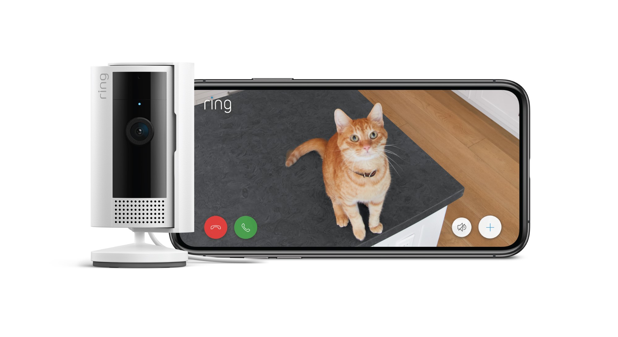 Ring Empowers Pet Parents with Smart Home Security Solutions