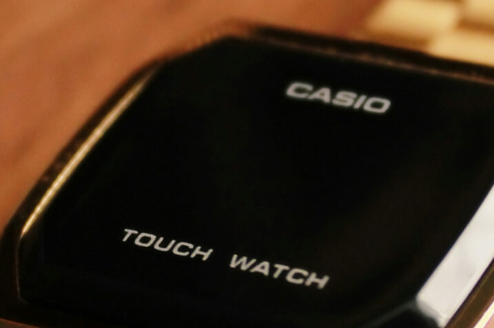 Infographic showing types and numbers of individuals affected by the Casio data breach