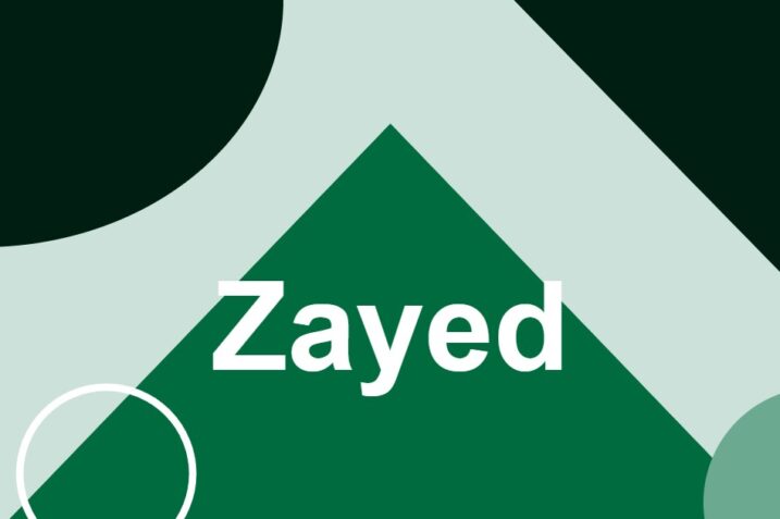 Zayed AI spokesperson, UAE Presidential Court International Affairs Office